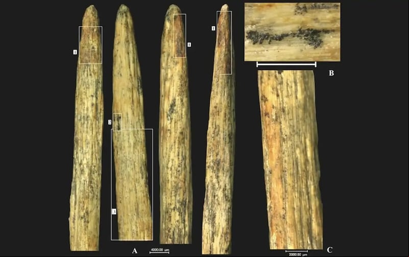 Punta de lanza de los Neandertales