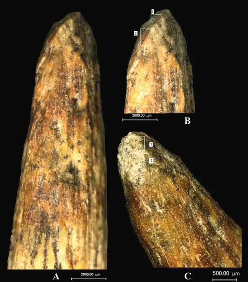Punta de lanza de los Neandertales